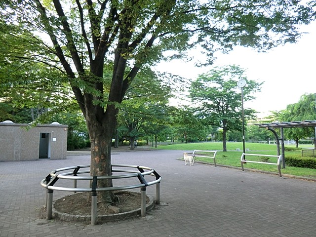 ���ӊ� ���� 550m �l�J���������