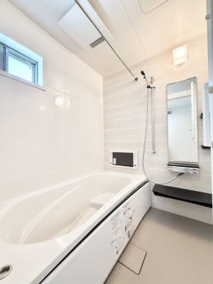 ���� �����������������F�����̕ǖʁA������芰����o�X���[��