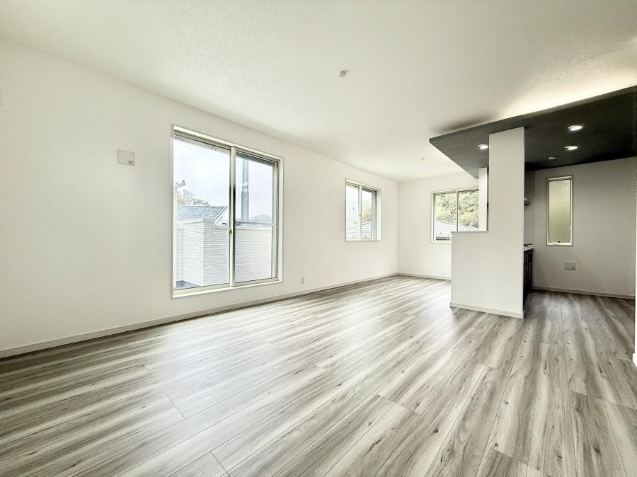 ���̑����� ����