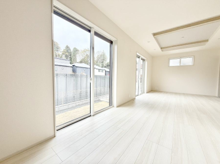 ���̑� ����