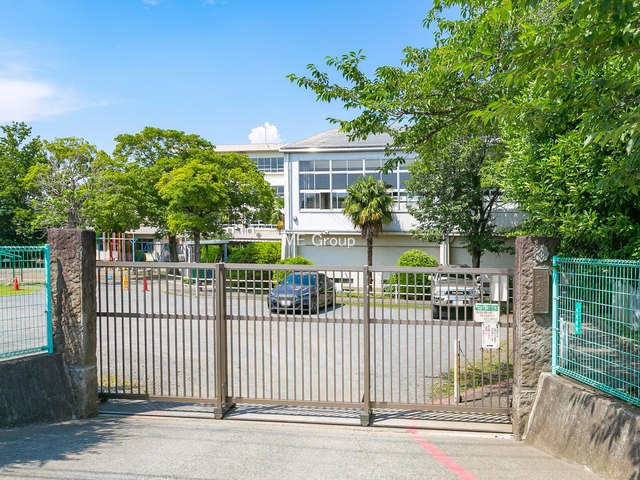 ���ӊ� ���w�Z 1500m ������s�����o���w�Z