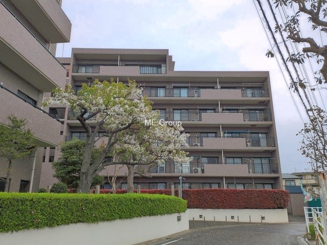 ���n�O�ώʐ^ �O�ρ��Ƒ��݂�Ȃ��Ί�ŉ߂�����A���S���̂���Z�܂�