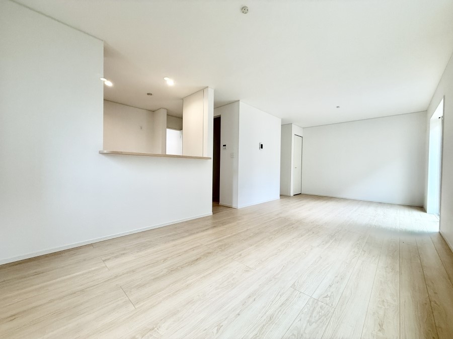 ���̑����� ����