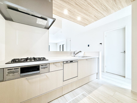 �L�b�`�� 1����  ���V���v���Ŕ������S�n�悢���Ԃ𐶂ރL�b�`�����