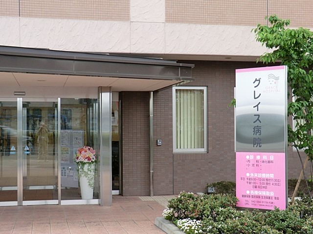 ���ӊ� ���̑����ʐ^ 441m �O���C�X�a�@